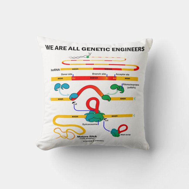 We Are All Genetic Engineers RNA Splicing Humour Throw Pillow (Front)