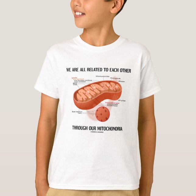 We Are All Related Each Other Through Mitochondria T-Shirt (Front)