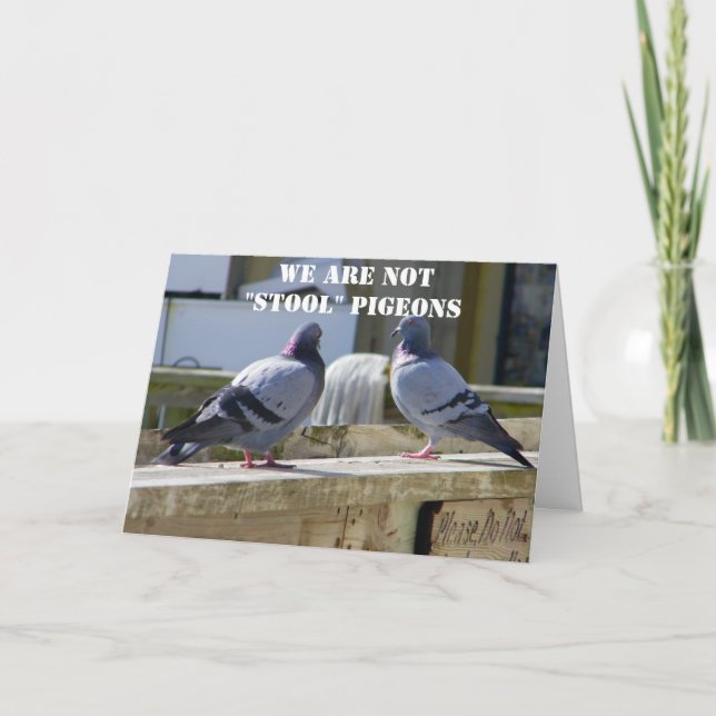 WE ARE NOT STOOL PIGEONS CARD (Front)