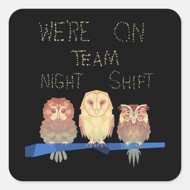We Are On Team Night Shift Owls Square Sticker (Front)