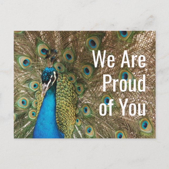 "We Are Proud of You" Beautiful Peacock Photo Postcard (Front)