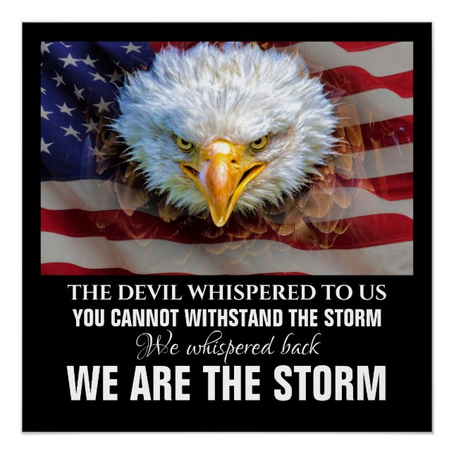 WE ARE THE STORM POSTER (Front)