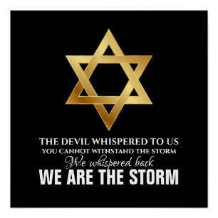 WE ARE THE STORM POSTER