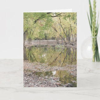 'We are truly grateful.. ~ 1 Thank You Card