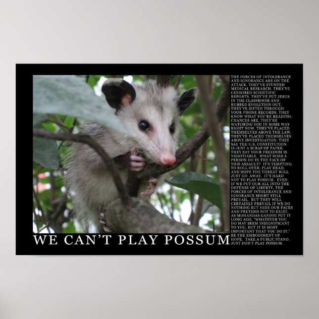 We Can't Play Possum Poster (Front)