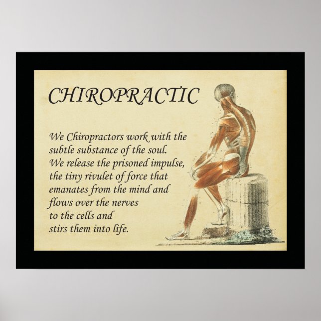 We Chiropractors Work with Soul Poster (Devant)
