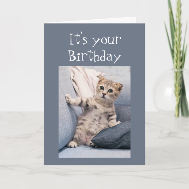 We didn't forget your Birthday Fun Cute Kitten Card (Front)