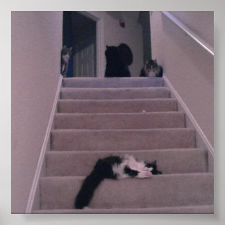 We didn't push him! poster