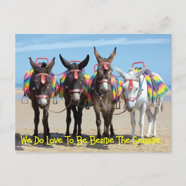 We Do Love To Be Beside The Seaside Donkey Rides Postcard (Front)