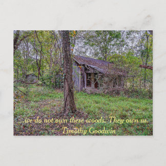 We do not own these woods... postcard