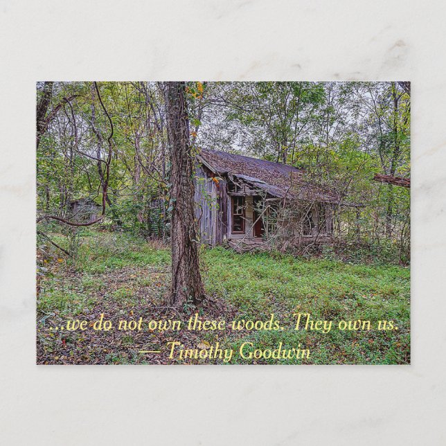 We do not own these woods... postcard (Front)