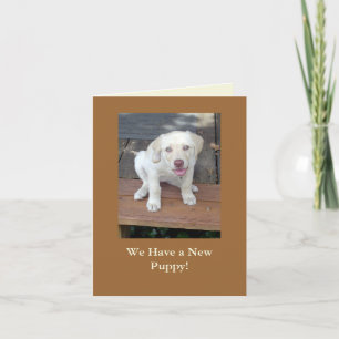 We Have a New Puppy Dog Announcement Customizable