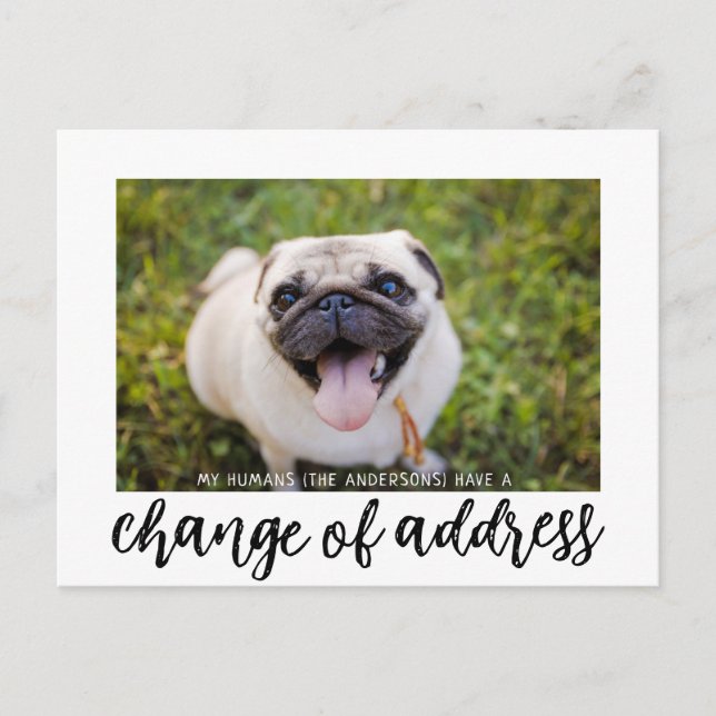We have Moved Change of Address Dog Photo Postcard (Front)