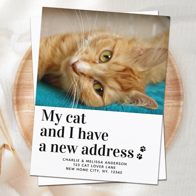 We Have Moved New Address Pet Photo Cat Moving Announcement Postcard (Creator Uploaded)