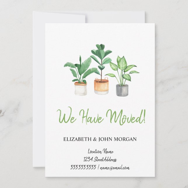 We Have Moved,Plants (Front)