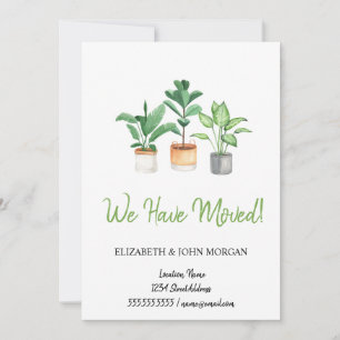We Have Moved,Plants