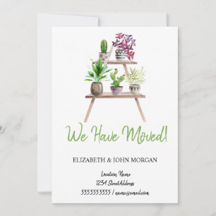 We Have Moved,Plants,Arrangement