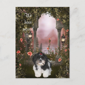 "We have moved" Shih Tzu Postcard