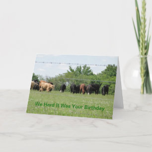 We Herd It Was Your Birthday Card