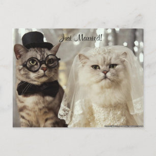 We Just Did It! Announcement Postcard