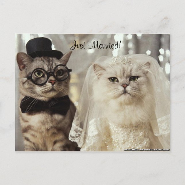 We Just Did It! Announcement Postcard (Front)