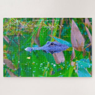We Love Aligators in Florida Jigsaw Puzzle
