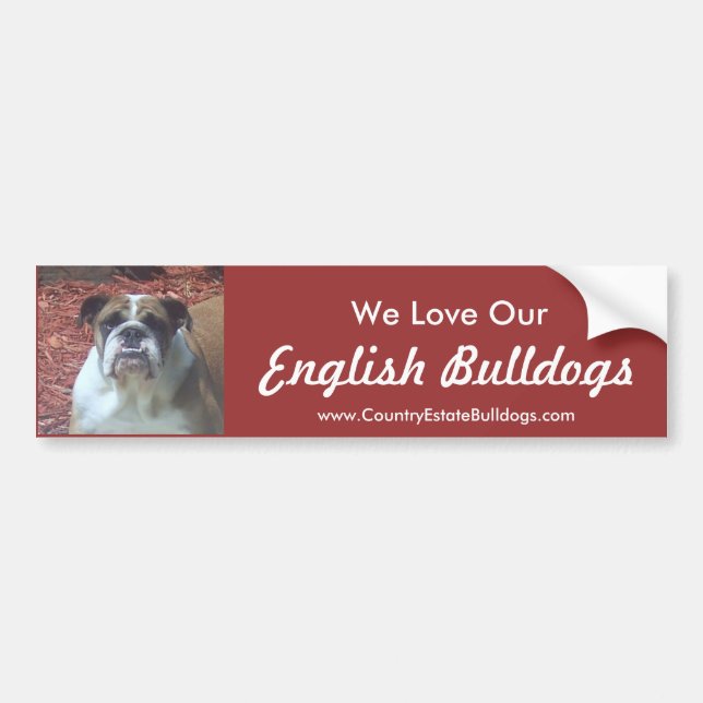 We Love Our English Bulldogs Bumper Sticker (Front)