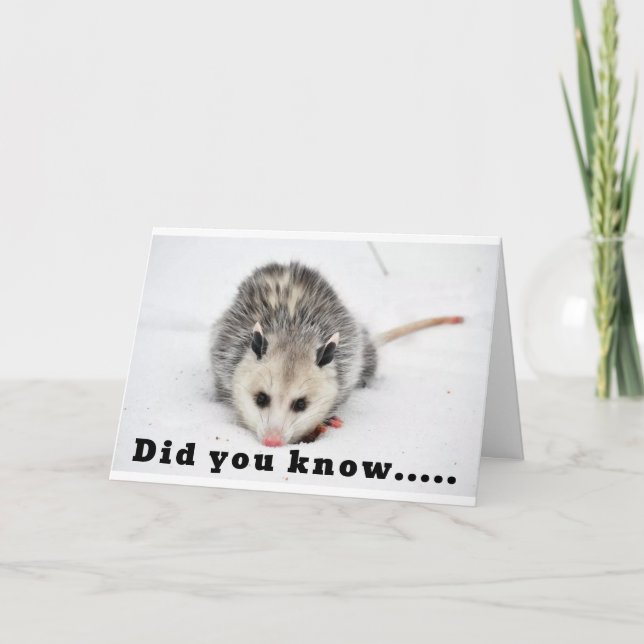 WE MICE KNOW HOW TO PARTY - YES WE DO! CARD (Front)