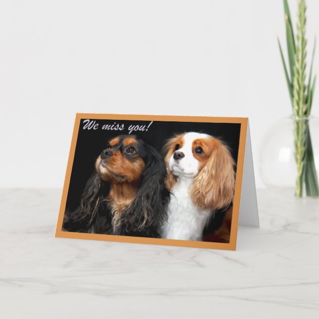 We miss you Cavalier King Charles Spaniel Card (Front)