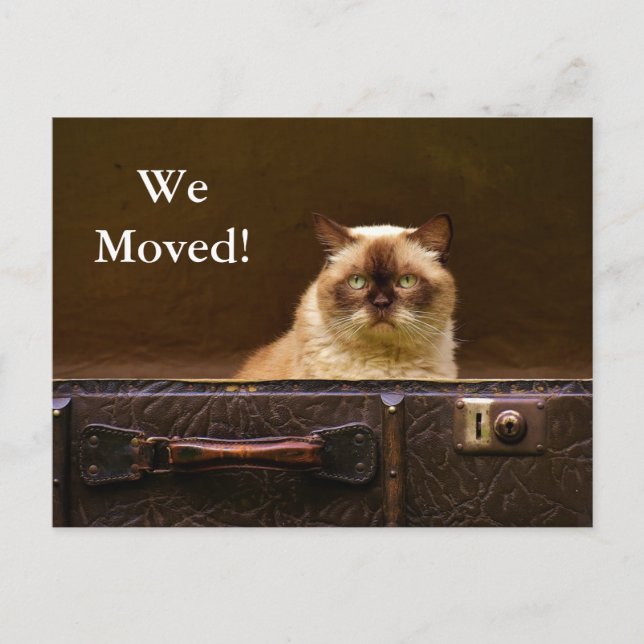 We Moved! New Address Announcement cat in suitcase (Front)