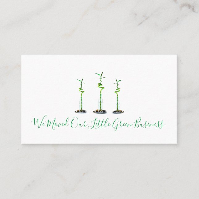 We Moved New Business Address Lucky Bamboo Business Card (Front)
