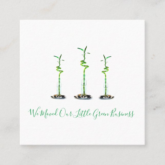 We Moved New Business Address Lucky Bamboo Square Business Card (Front)