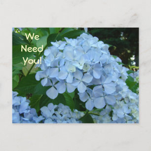 We Need You! postcards Get Involved Today! school