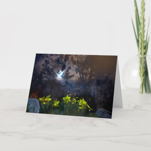 we own the night card (Front)