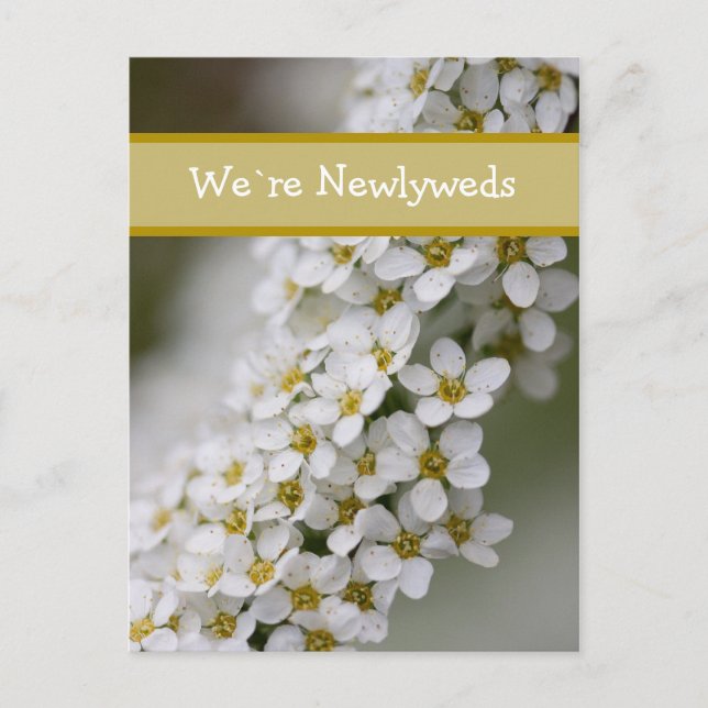 We`re Newlyweds Spiraea Postcard (Front)