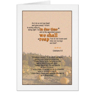 We Shall Reap - Galatian 6:9