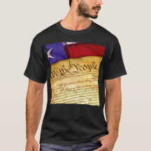 We the People Constitution of the United States