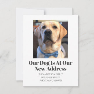 We’ve Moved Golden Retriever Pet Dog Name Moving Announcement