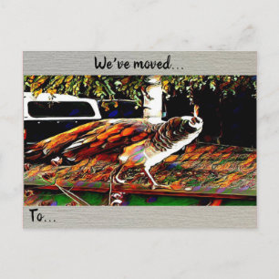 ‘We’ve Moved’ Postcard