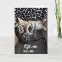 **WE WILL SING HAPPY BIRTHDAY** FROM CUTE KITTENS