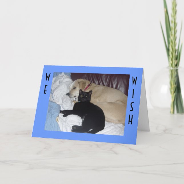 WE WISH YOU A SNUGGLY BIRTHDAY CARD (Front)