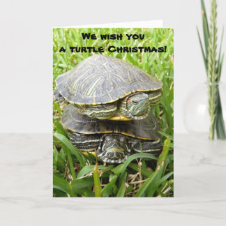 We wish you a turtle Christmas! Holiday Card