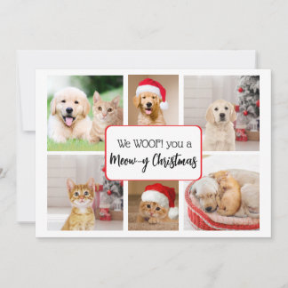 We Woof You a Meow-y Christmas Greeting Card