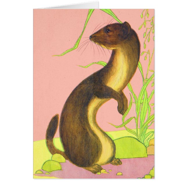 weasel (Front)