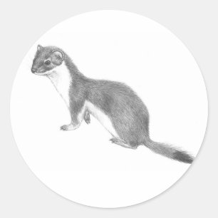 Weasel sticker