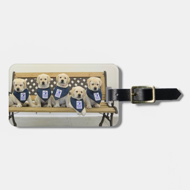Weather Bench Luggage Tag - Personalized (Front Horizontal)