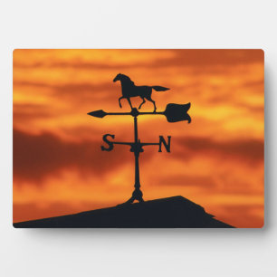 Weather Vane at Sunset Plaque