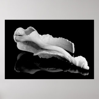 Weatherd Conch Poster