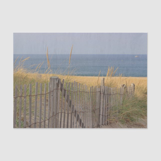 Weathered beach fence and dune grass at the beach tissue paper (Front)