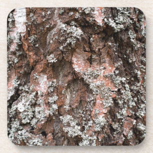 Weathered birch bark coaster